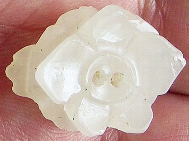 Flower 21 – (3858) Glass